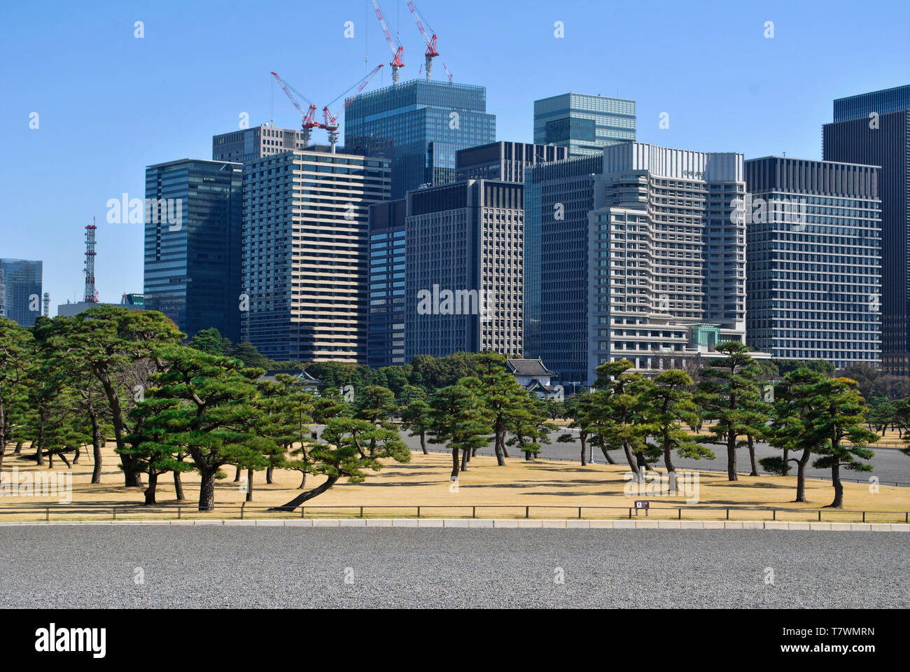 Public garden of the Imperial Palace.  Background: Buildings of Chidoya, Tokyo, Japan. Stock Photo