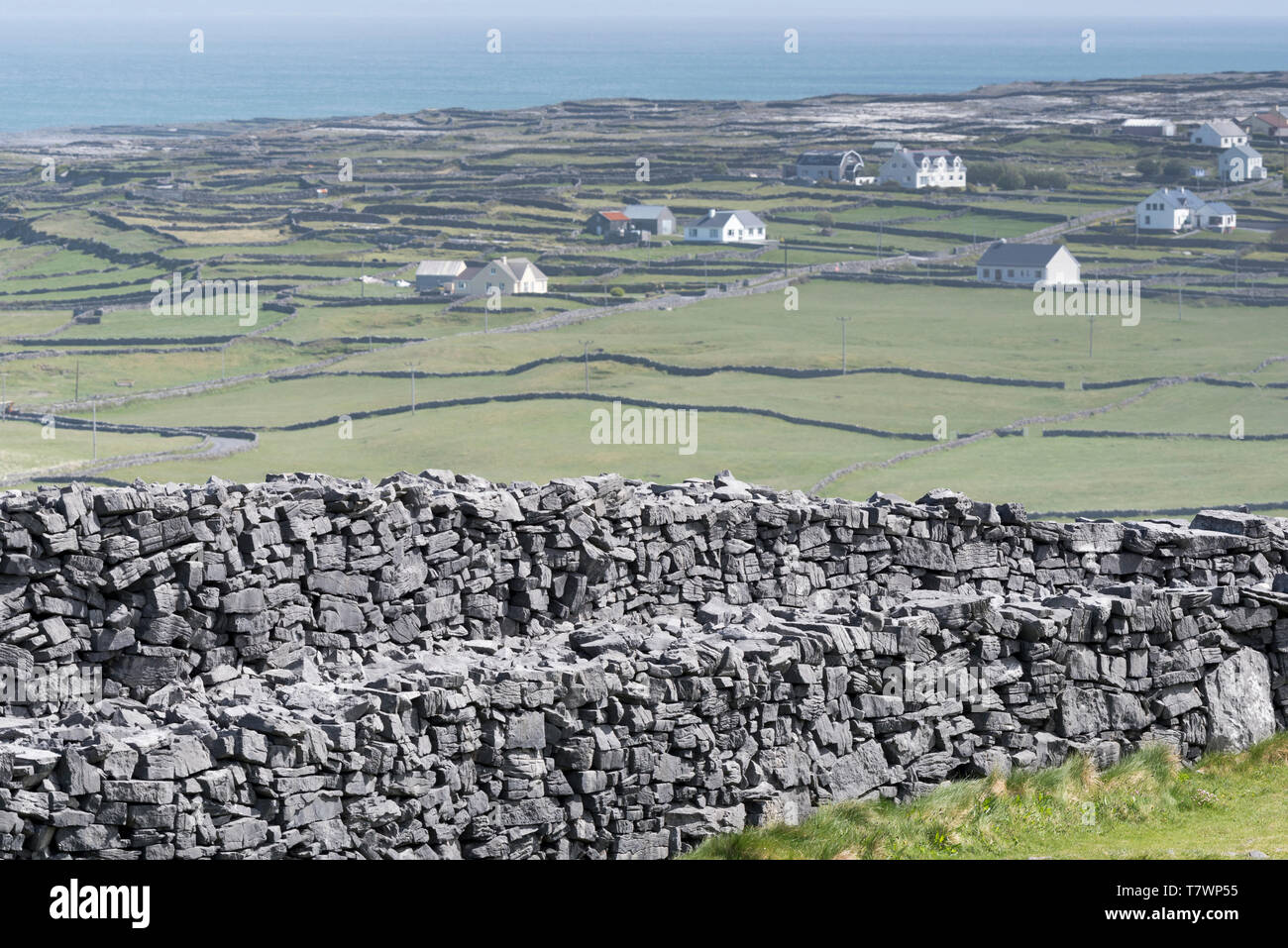 Ireland, County Galway, Aran Islands, Inishmore Cliffs, Dun Aengus Stock Photo