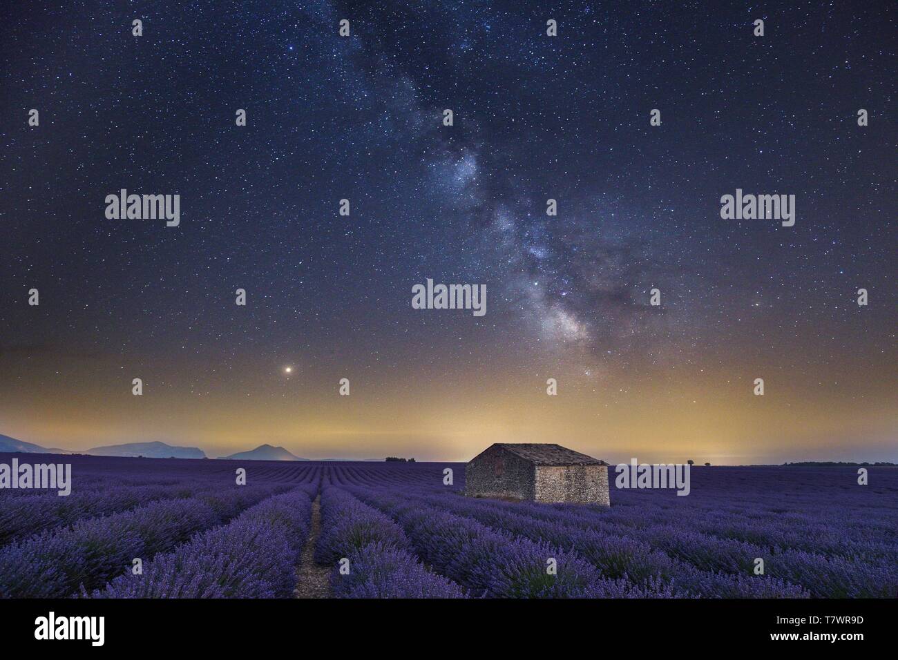 France, Alpes de Haute Provence, Verdon Regional Nature Park, Puimoisson, stone cottage at night in the middle of a lavender field (Lavandin) on the Plateau de Valensole under the Milky Way and the Mars planet Stock Photo