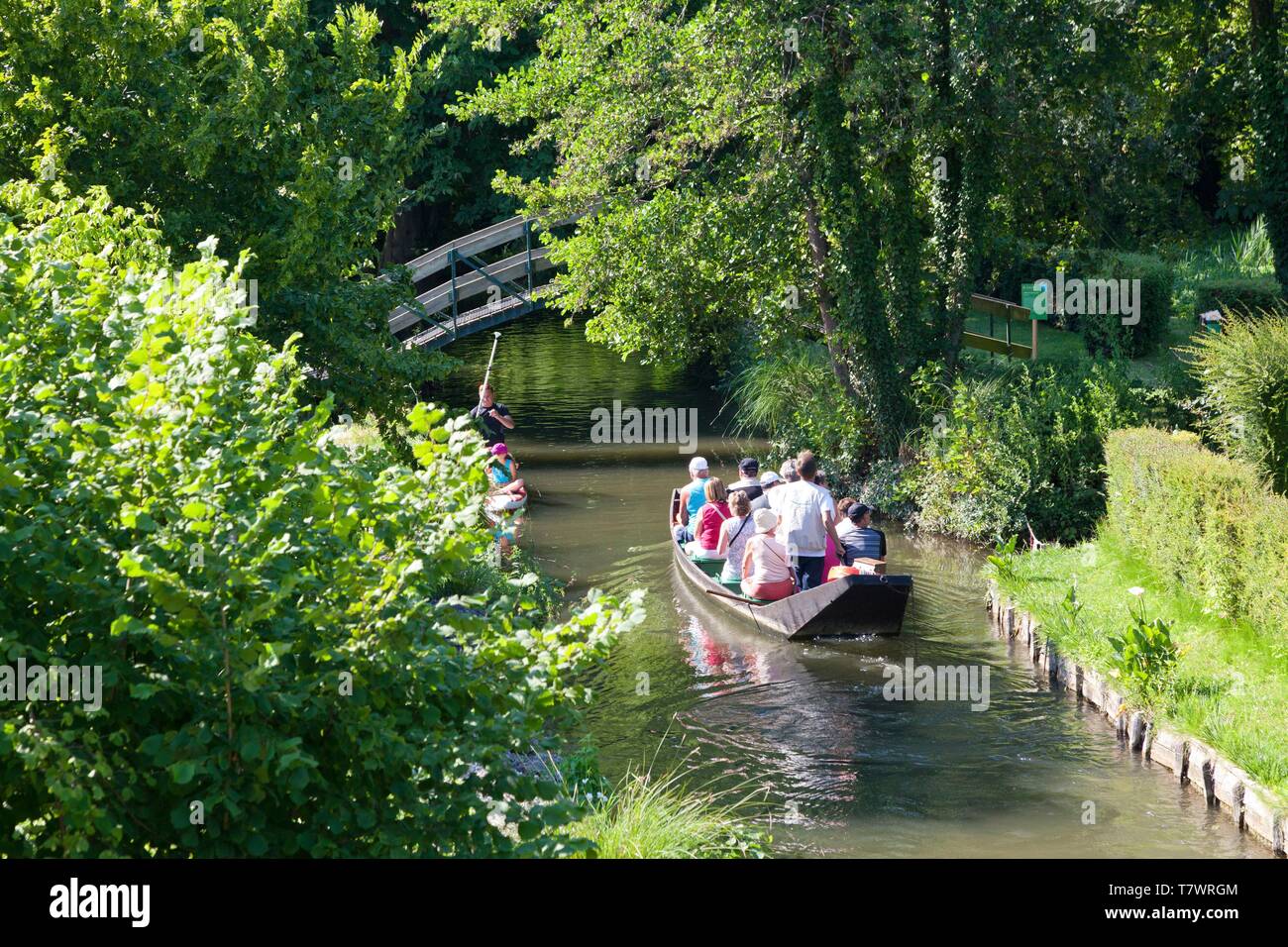 France, Somme, Amiens, hortillonnages, visit in boat Stock Photo