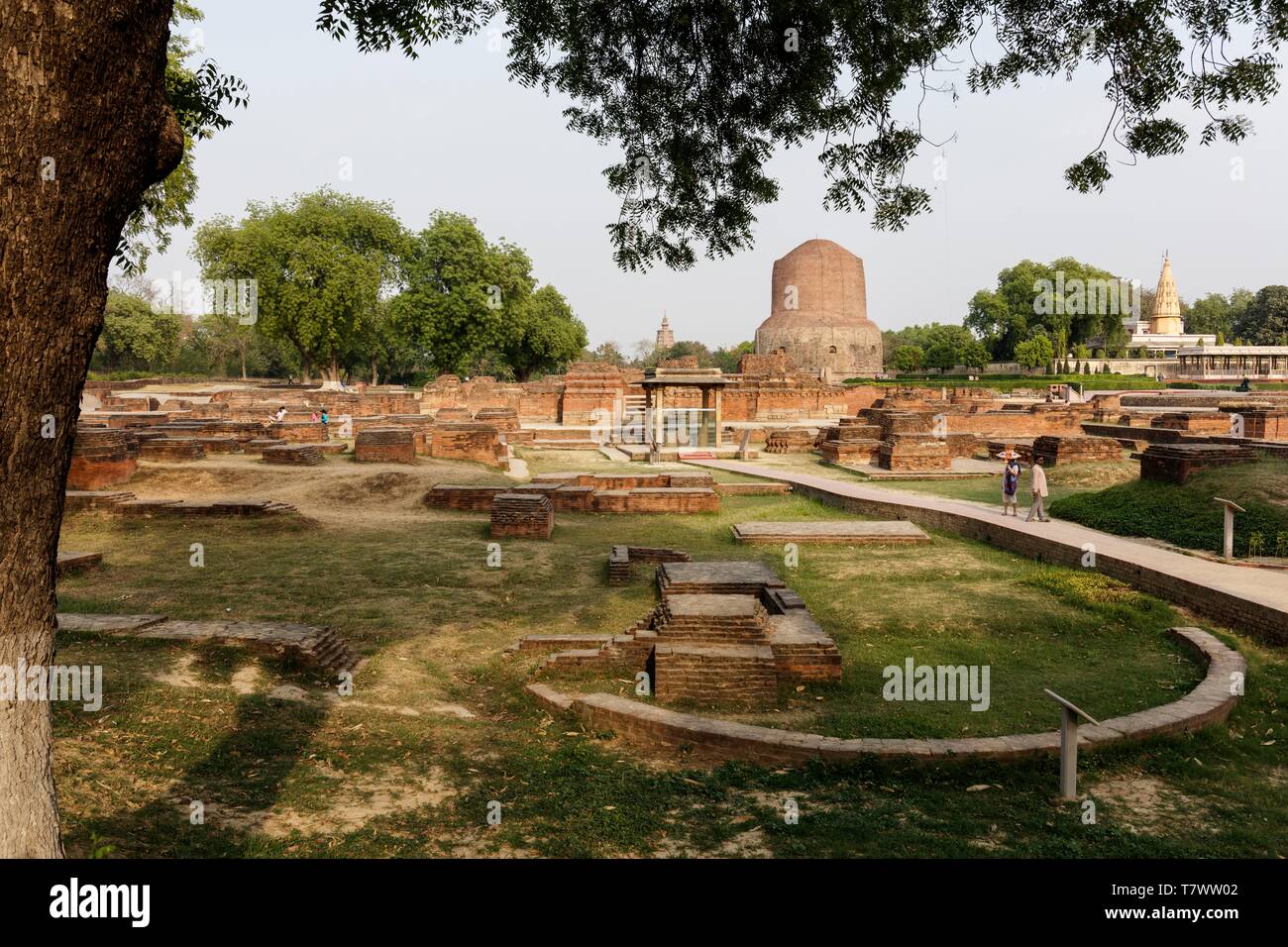 India, Uttar Pradesh, Sarnath, archeological site, Damekh Stupa and bouddhist ruins Stock Photo