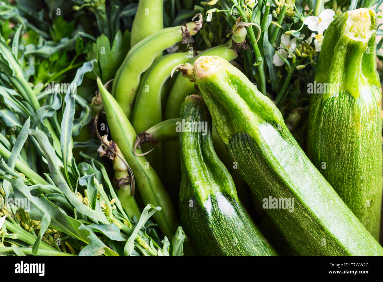 Organic green vegetable closeup. Ugly real veggies. Healthy organic