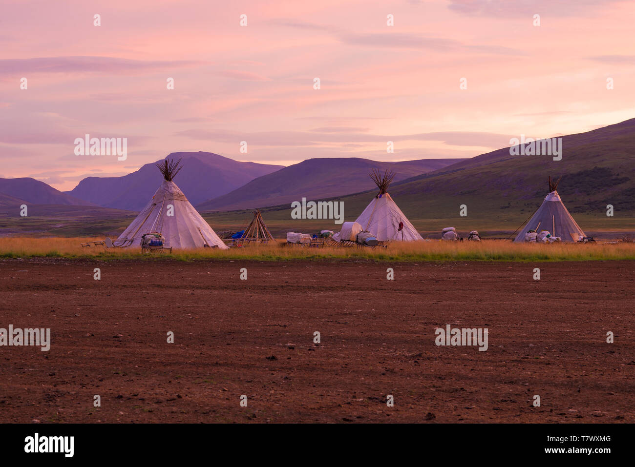 Summer camp of nomadic reindeer herders at dawn. Yamal, Russia Stock Photo