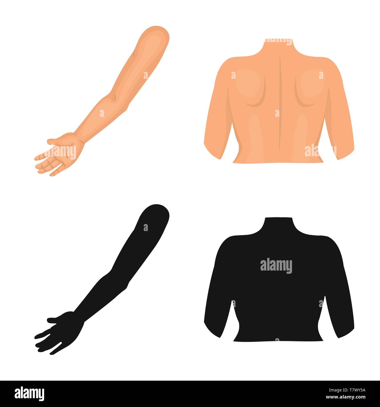 Vector design of body and part sign. Collection of body and anatomy ...