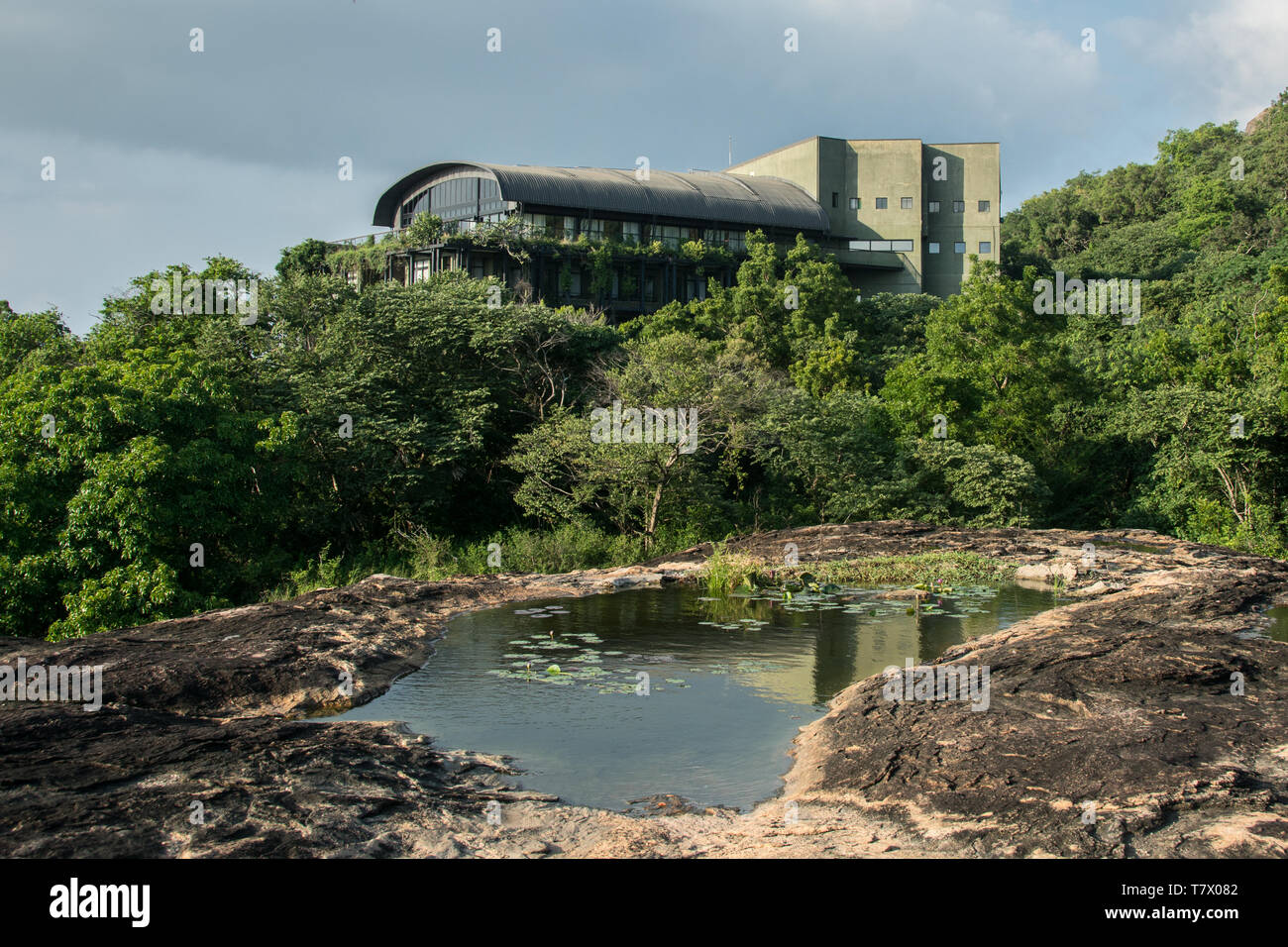 Heritance Kandalama Hotel, Sri Lanka, designed by Geoffrey Bawa, photographed from the rocks and jungle that border the building. Stock Photo