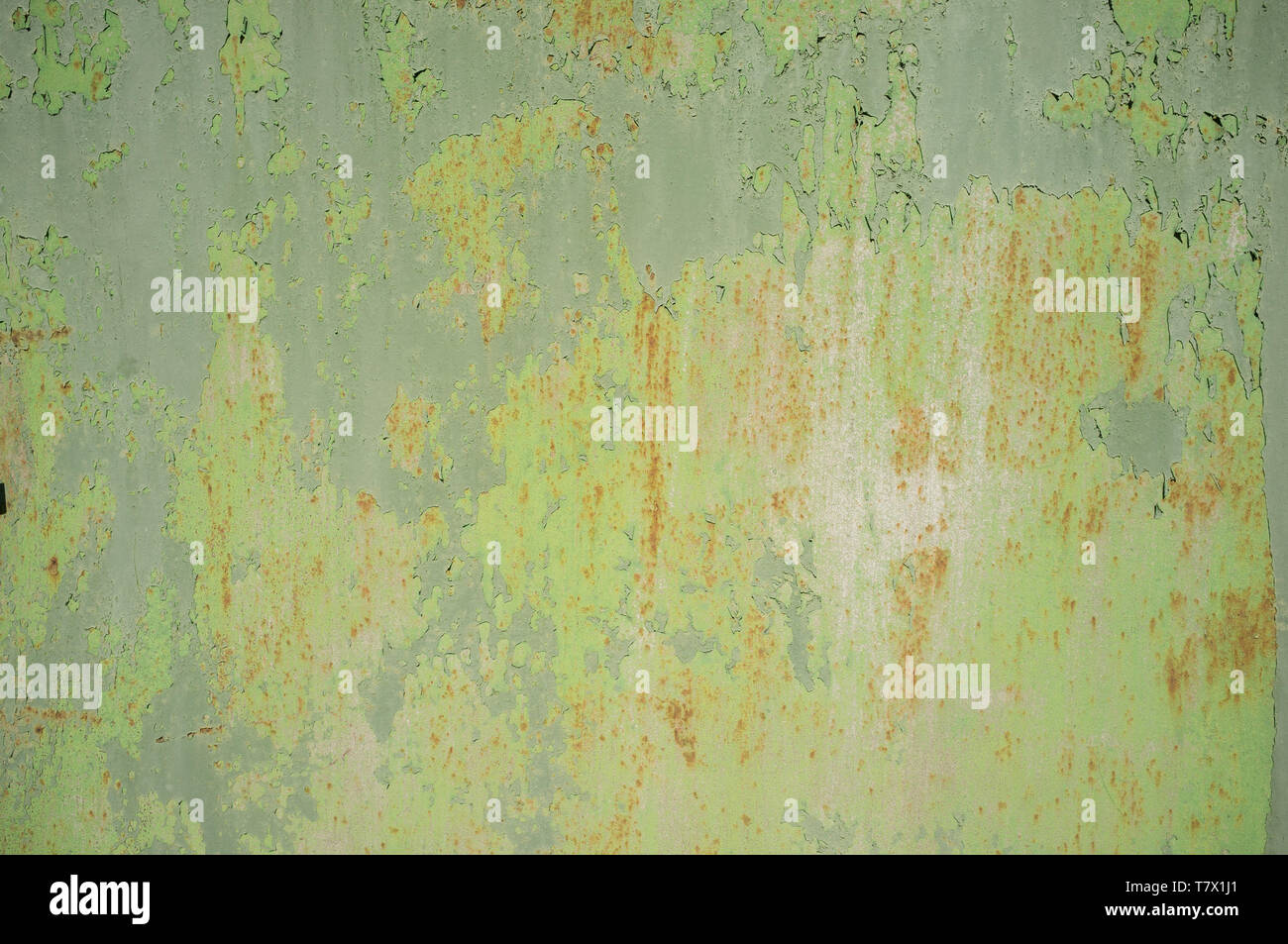 Detail of Old, Grunge, Rusty Metal Doors with Layers of Green