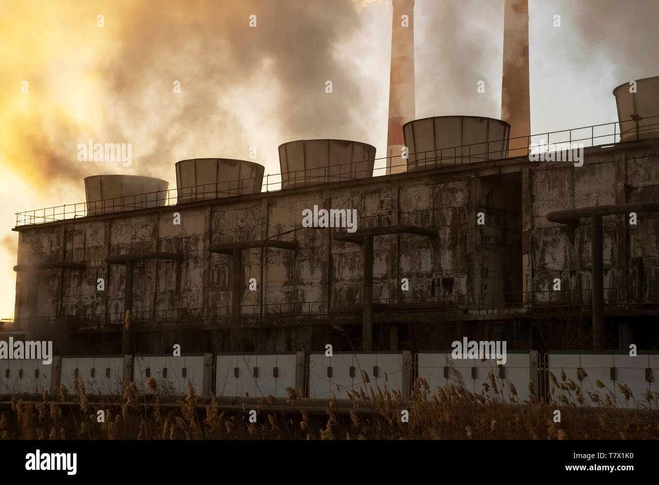 Chemical plant cooling towers steam at sunrise in winter Stock Photo Alamy
