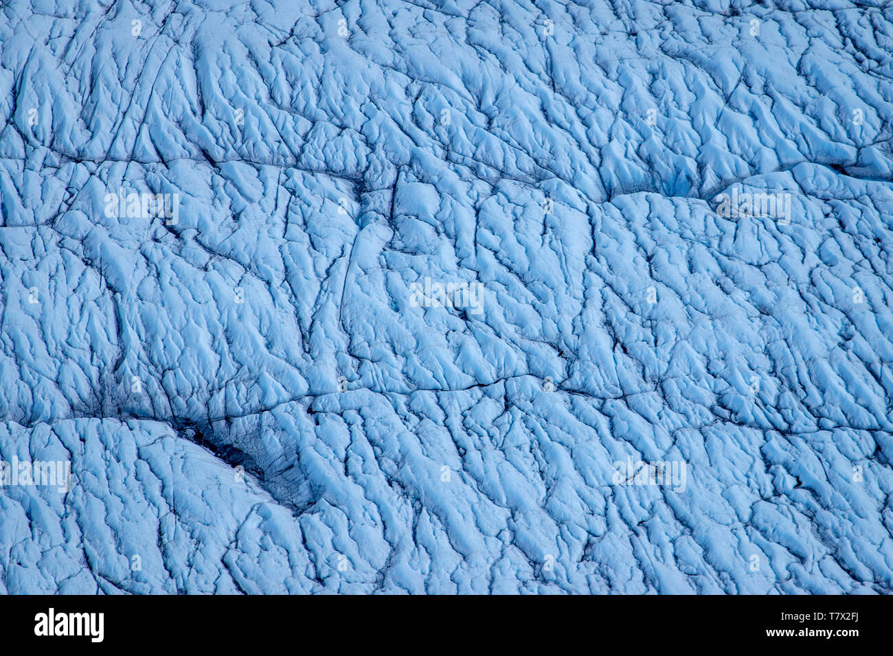 The Knik Glacier in Alaska. Lack of snow-cover expose the ash fallout from the nearby Redoubt Volcano, reducing the albedo effect. There are thousands of glaciers in Alaska, and at least 616 of them are named. Together, they are losing 75 billion tons of ice each year due to melting. That figure is likely to increase in future years. May 2015 was the hottest in 91 years. The blue color is naturally occuring, but is enhanced by underexposing the image. Stock Photo