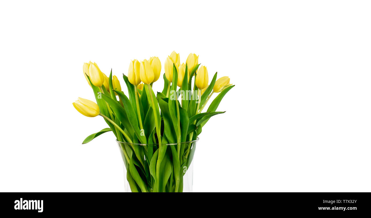 Bouquet of yellow tulips in vase isolated on white background Stock ...
