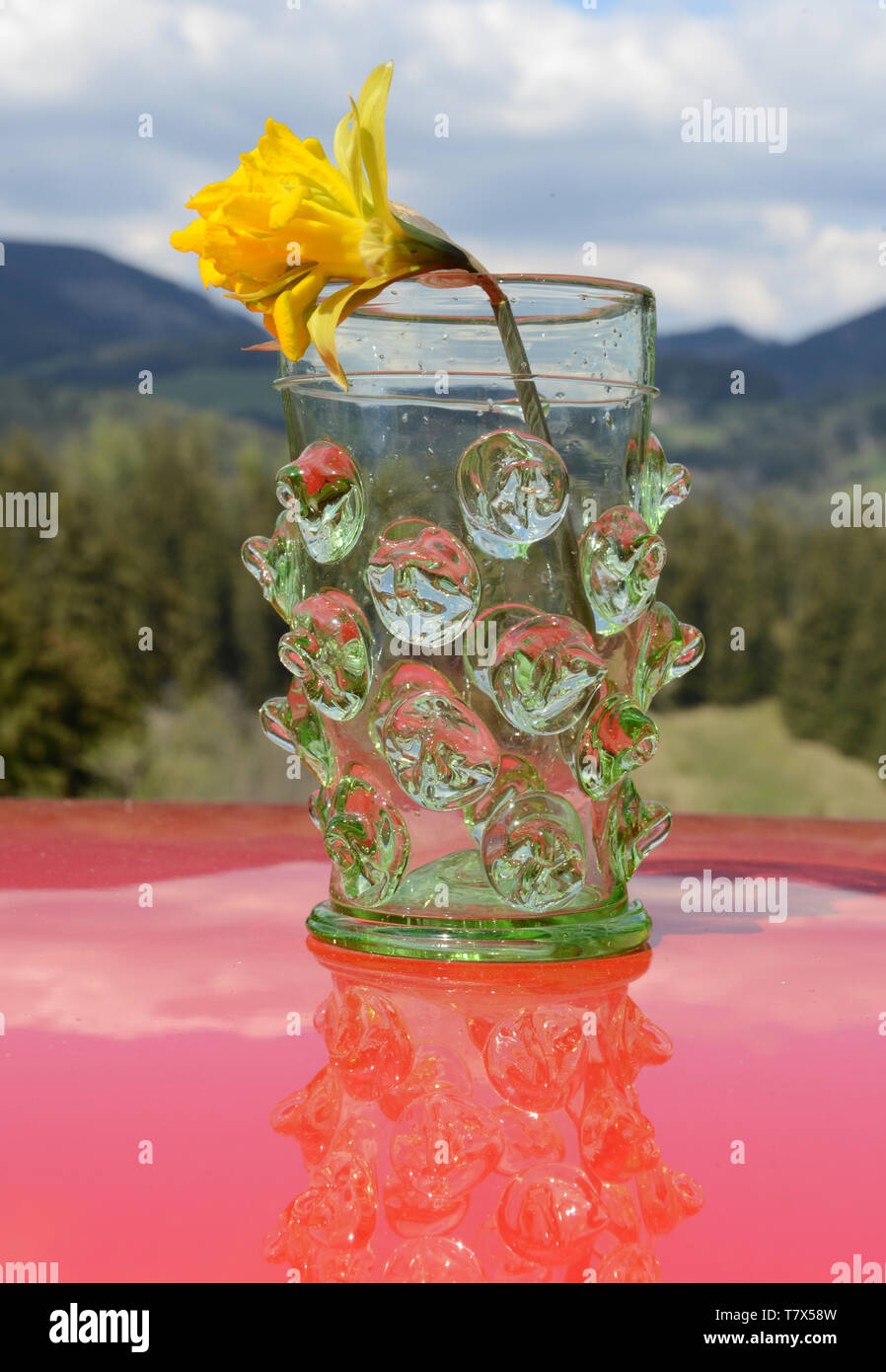WARZENGLAS . NOPPENGLAS . NUBBY GLASS Stock Photo - Alamy