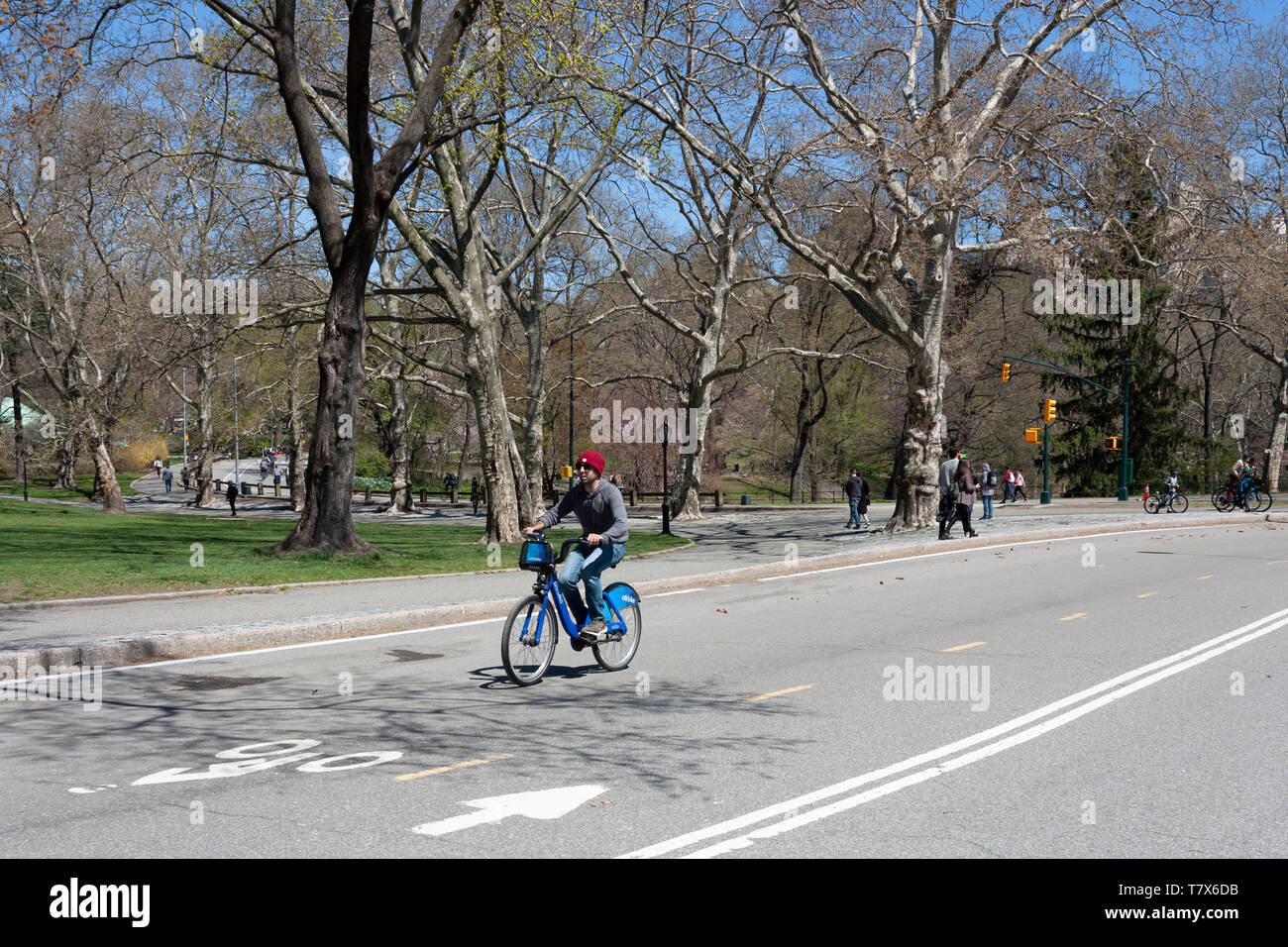 Man on Citi Bike riding through Central Park, Upper Manhattan, New York