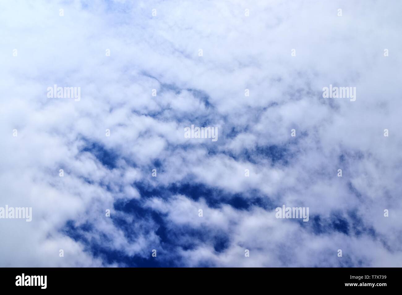 Beautiful white fluffy clouds on a deep blue sky in high resolution ...