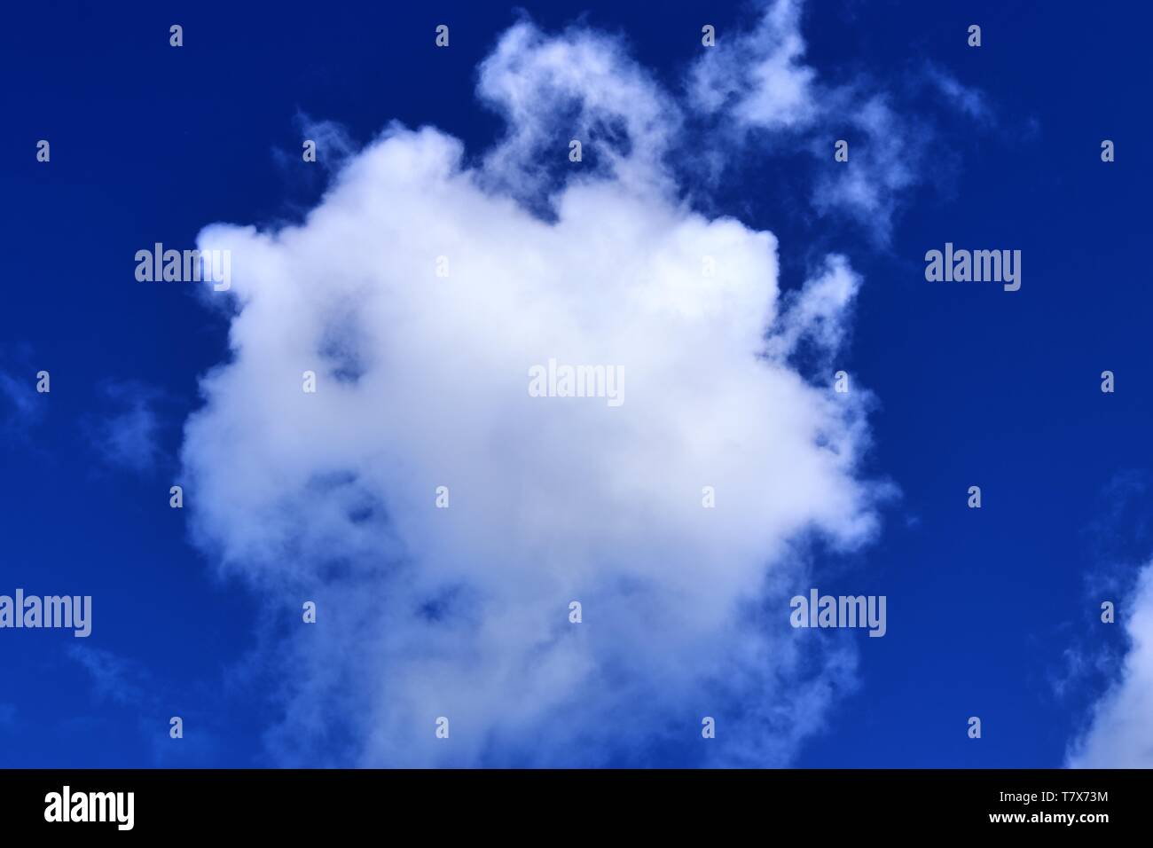 Beautiful white fluffy clouds on a deep blue sky in high resolution ...