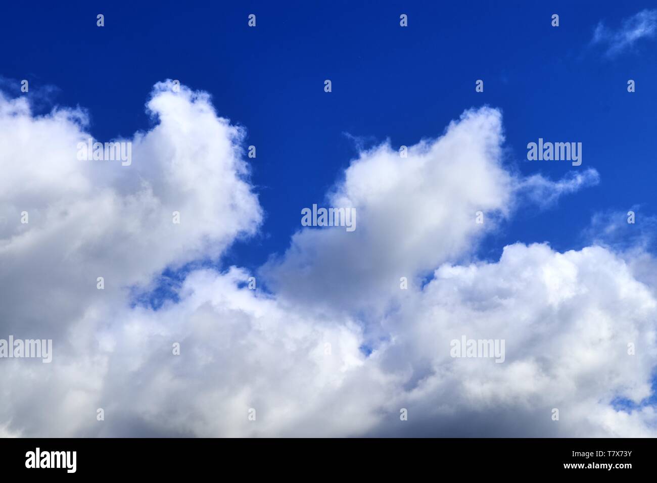 Beautiful white fluffy clouds on a deep blue sky in high resolution ...