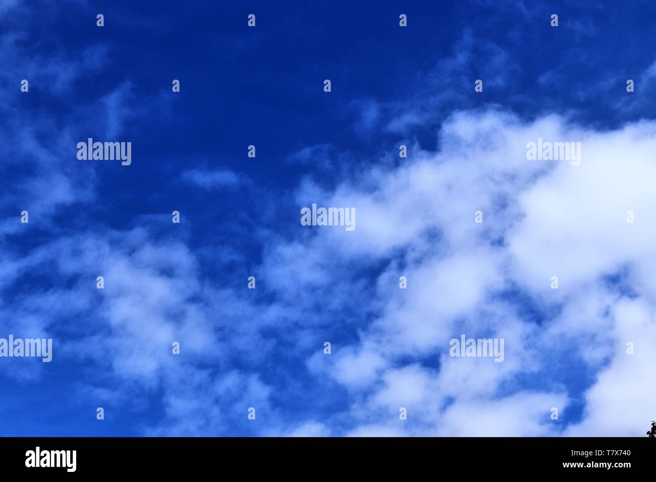 Beautiful white fluffy clouds on a deep blue sky in high resolution ...