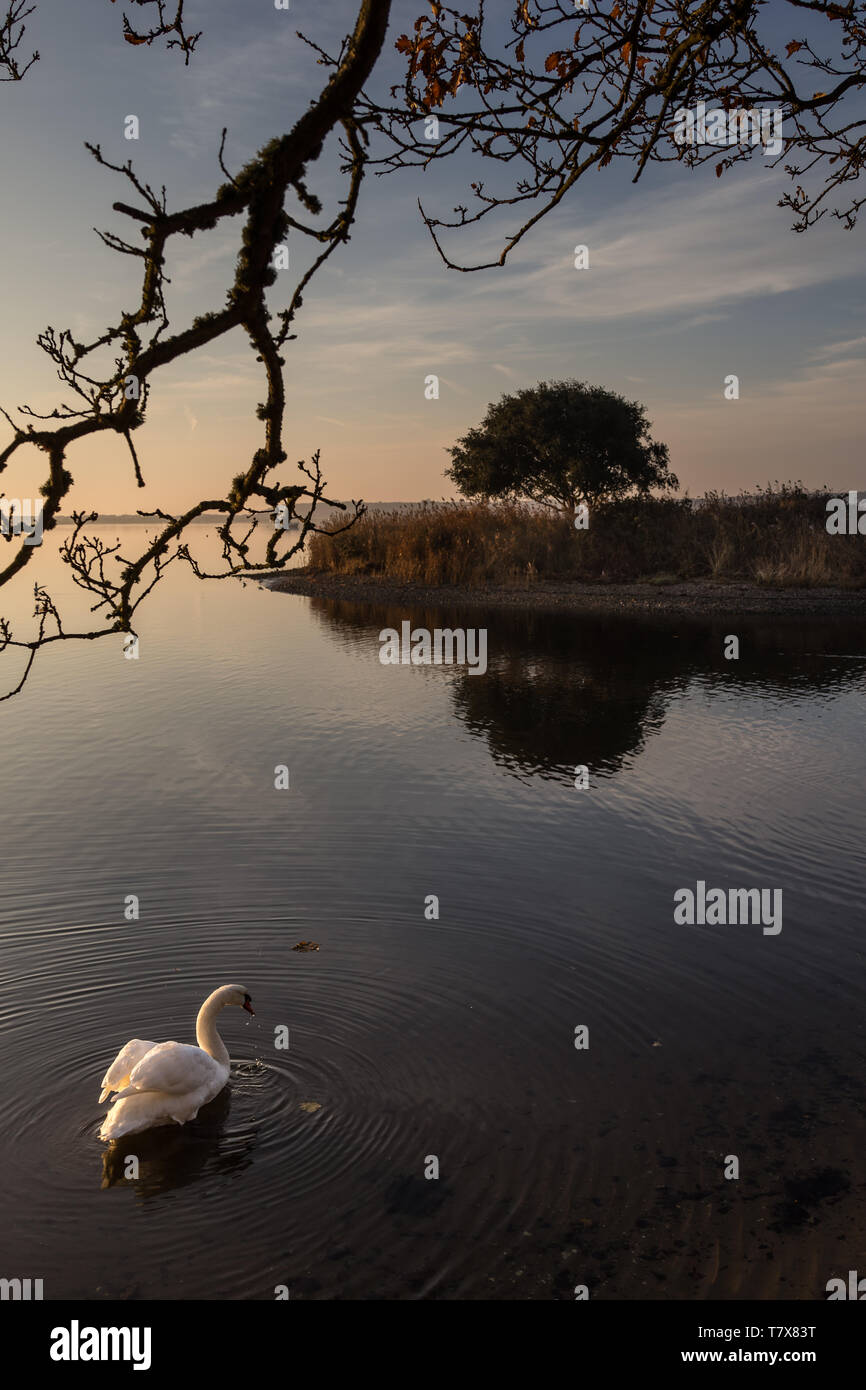 Mudeford harbour hotel hires stock photography and images Alamy
