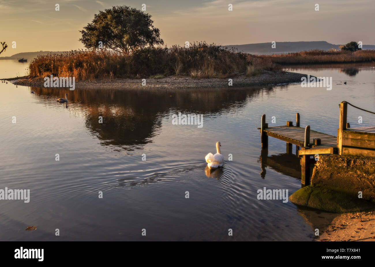 Mudeford harbour hotel hires stock photography and images Alamy