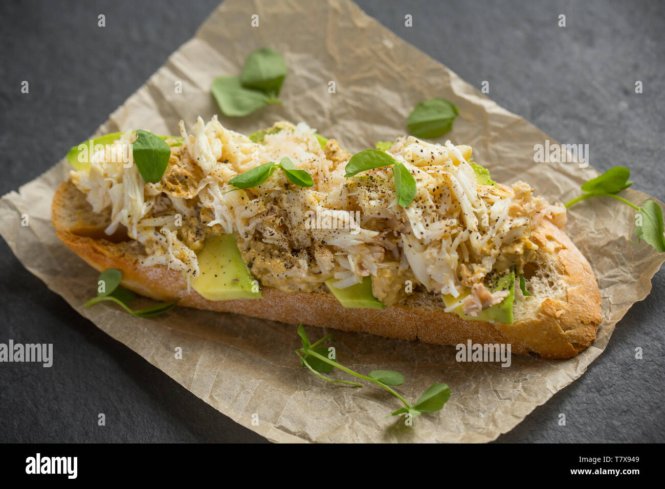 An open sandwich made from the brown and white meat of a spider crab caught in a drop net that had been lowered off a pier in Dorset. The brown meat h Stock Photo