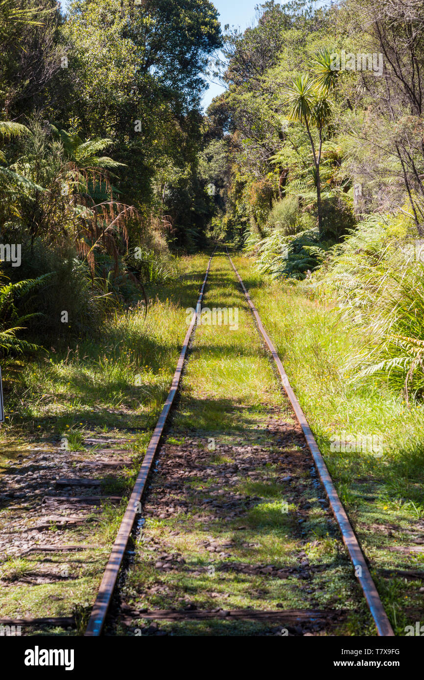 Infants Creek Tram line, Shanty Town, New Zealand Stock Photo