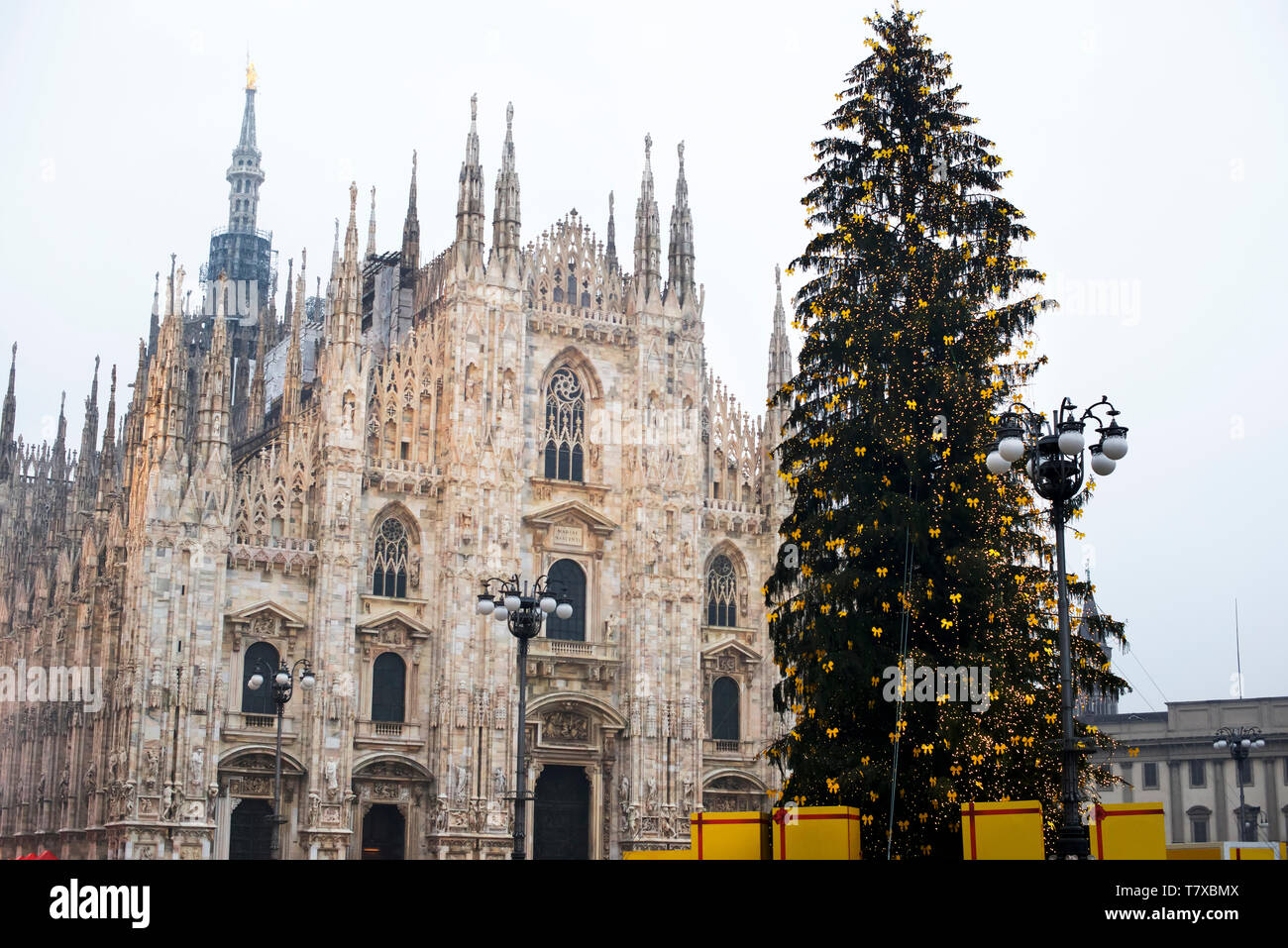 Christmas tree and Duomo of Milan square. Italy Stock Photo