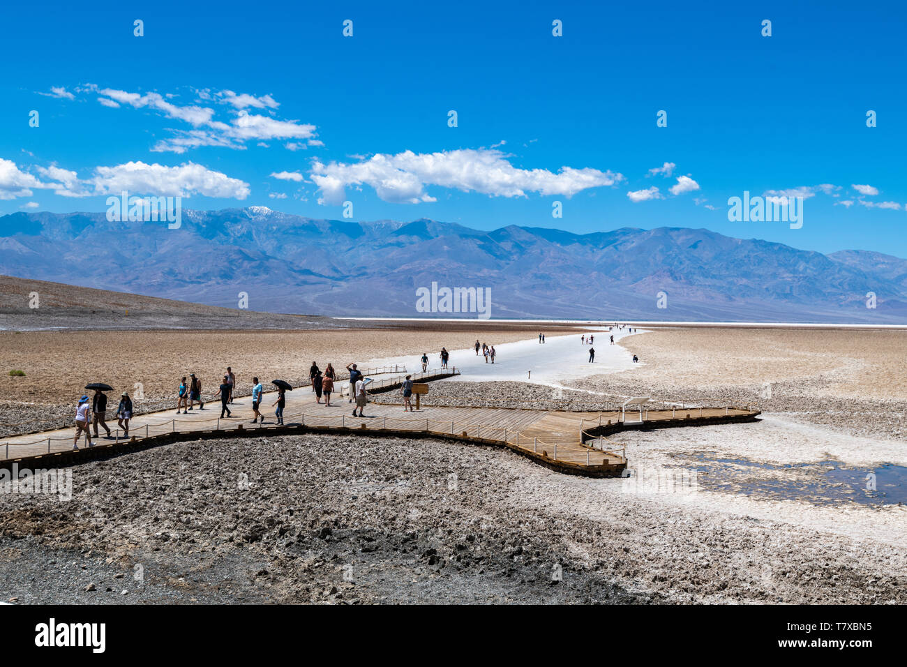 Landscape, Badwater Basin, Death Valley National Park, California, USA. Tourists *** Local Caption *** Stock Photo