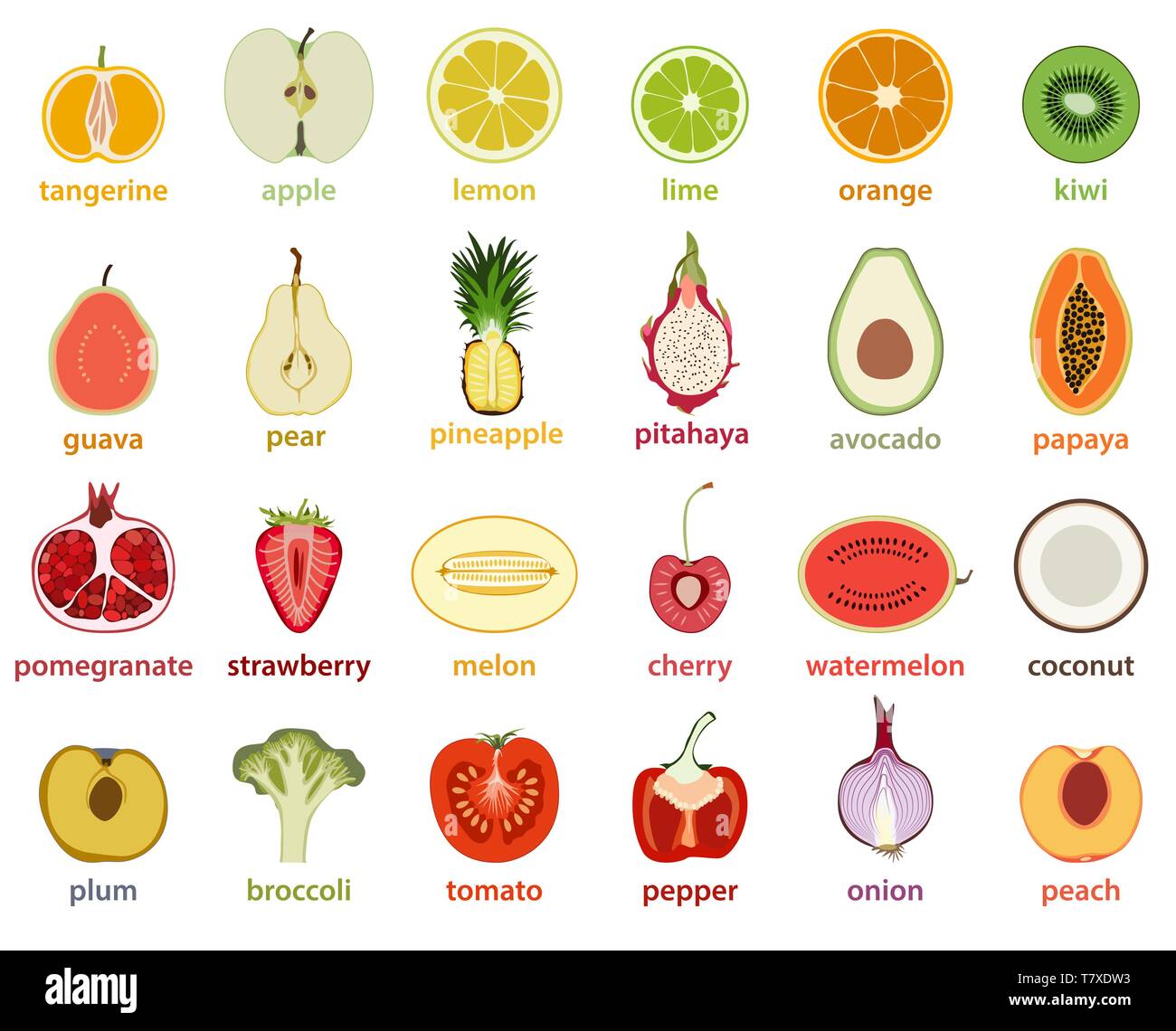 vector collection of isolated fruits cut in half Stock Vector Image ...
