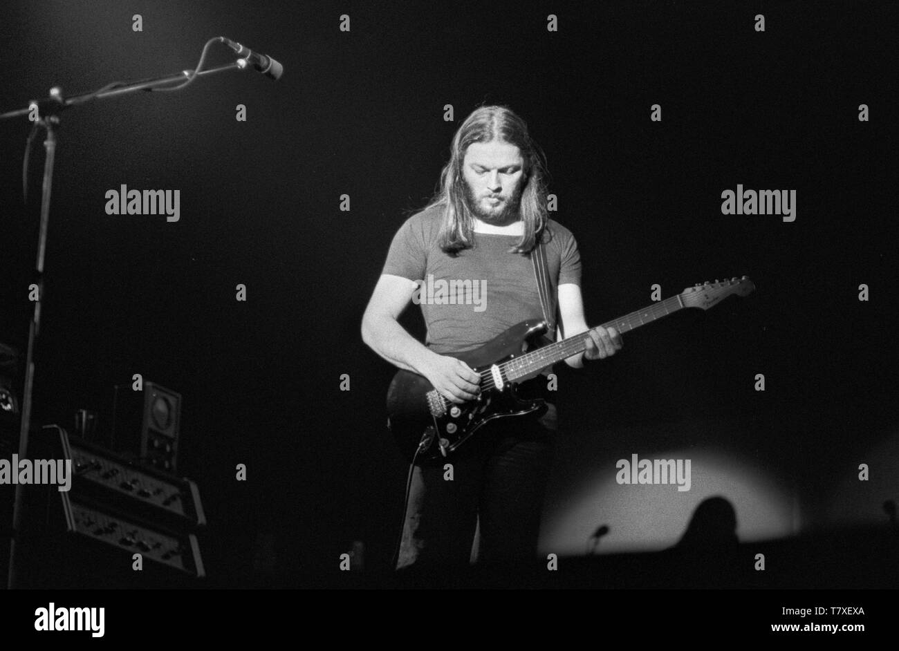 ROTTERDAM, Netherlands - FEBRUARY: Pink Floyd with David Gilmour perform live on stage at Ahoy in Rotterdam, Holland in February 1977 during the Animals tour (Photo by Gijsbert Hanekroot Stock Photo - Alamy ROTTERDAM, Netherlands - FEBRUARY: Pink Floyd with David Gilmour perform live on stage at Ahoy in Rotterdam, Holland in February 1977 during the Animals tour (Photo by Gijsbert Hanekroot Stock Photo - Alamy