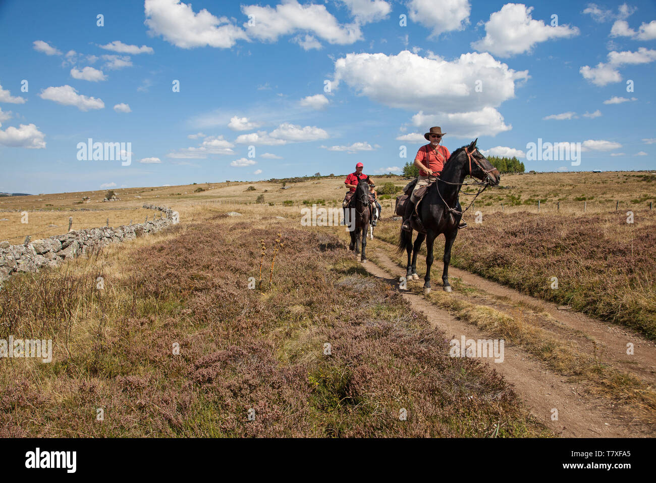 Horseback riding in the Aubrac area Stock Photo