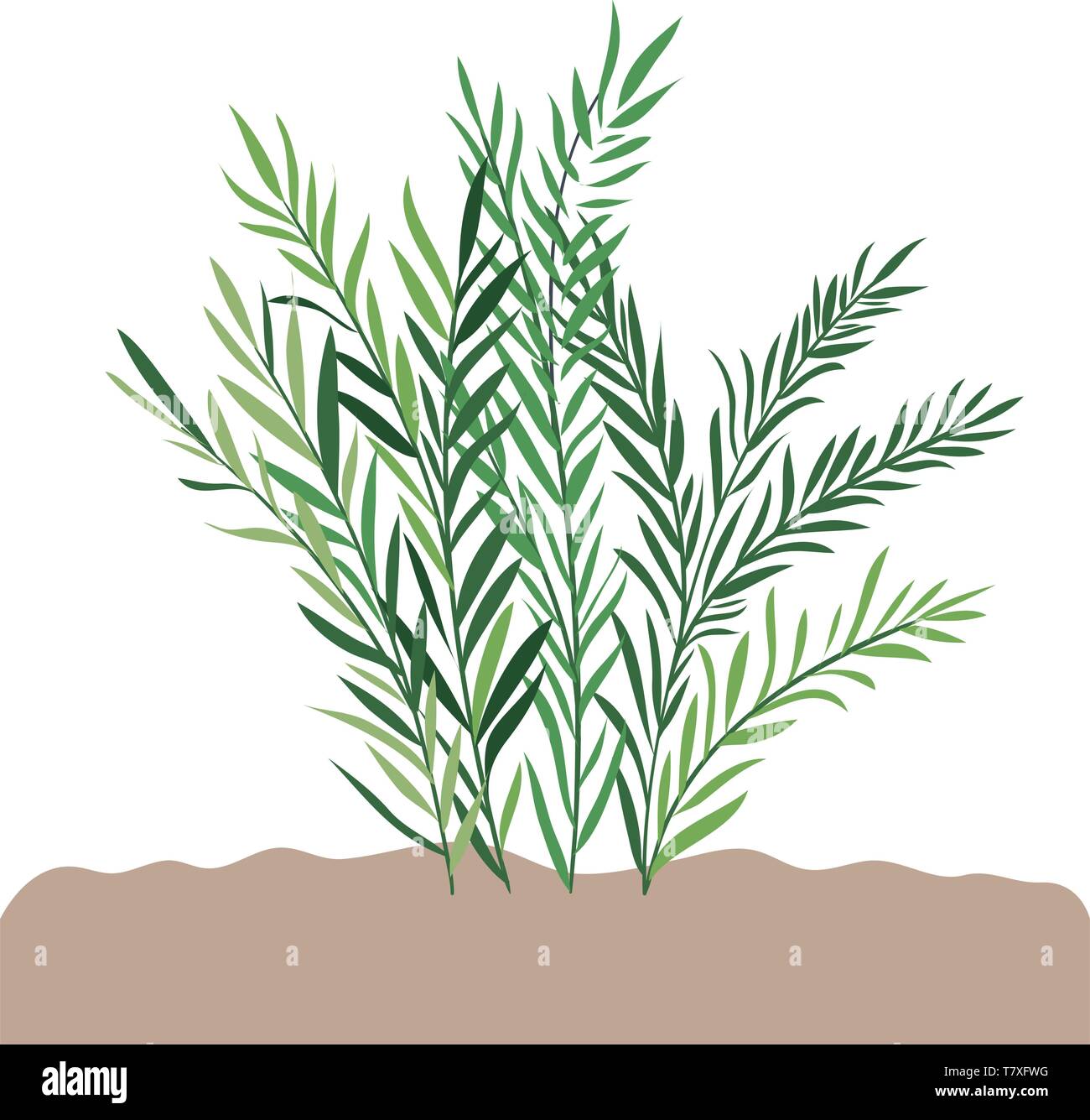 plant in landscape isolated icon Stock Vector Image & Art - Alamy