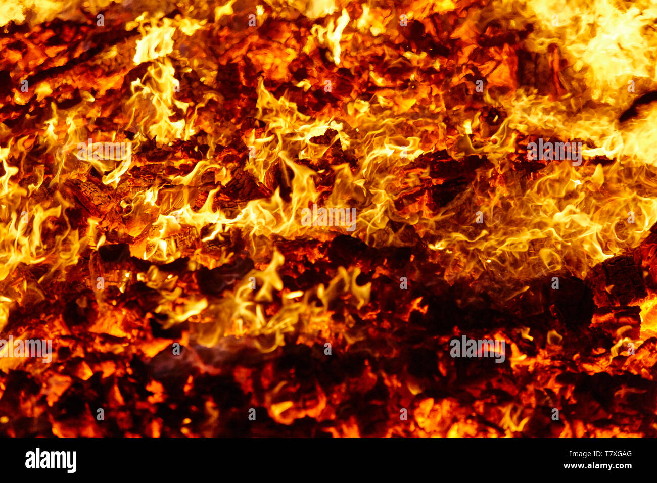 Fire. Volcano incandescent material. Hot charcoal bonfire. Carbon