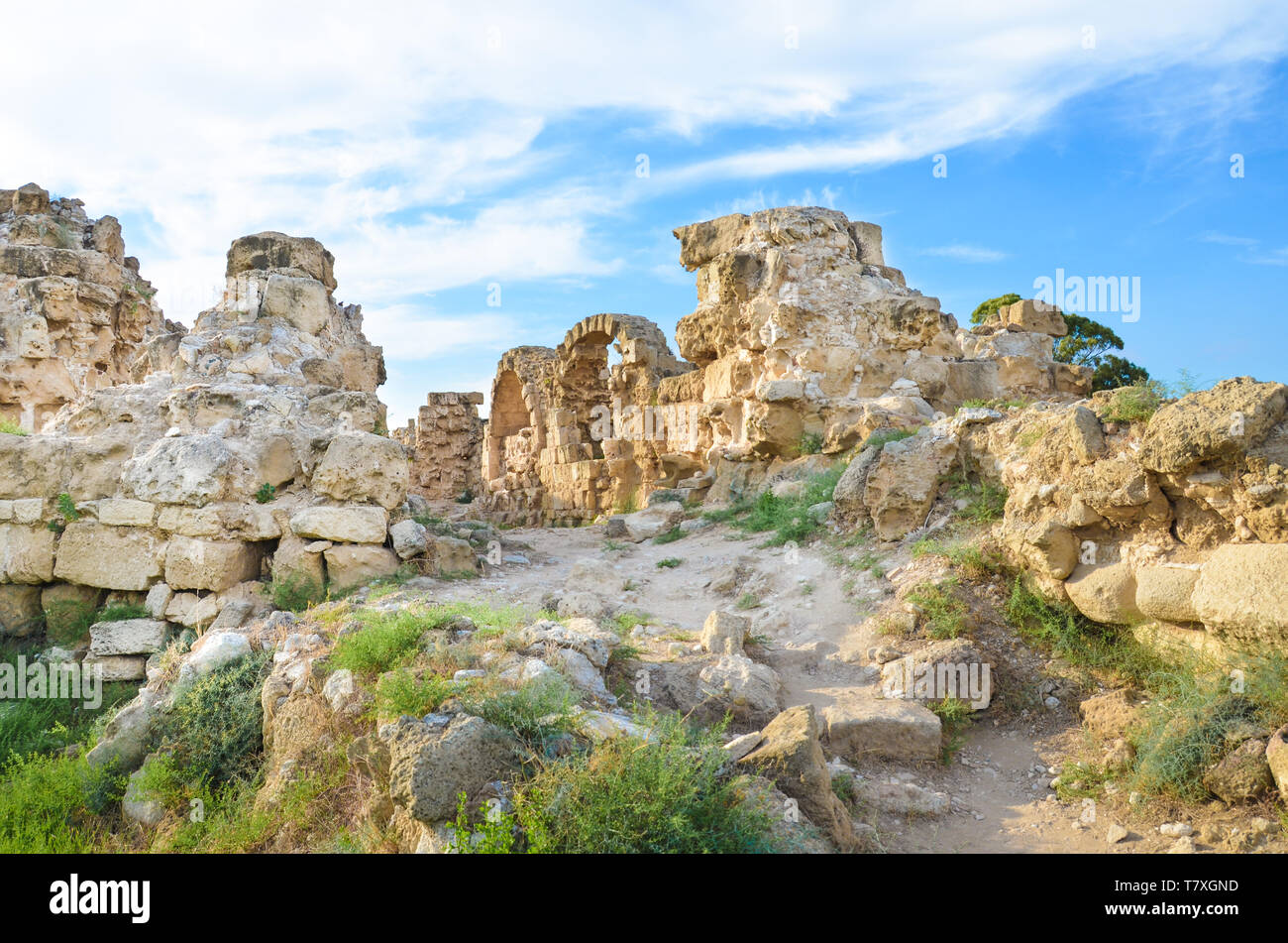 Walls ruins of ancient Greek city-state Salamis in Northern Cyprus taken on a sunny day with light clouds above. The archeological site is located near Famagusta, in Turkish part of Cyprus. Stock Photo