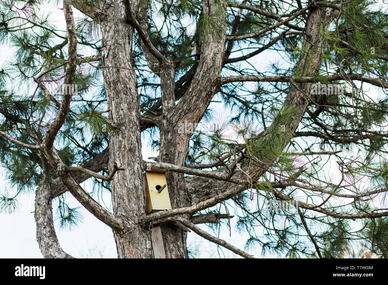 Bark House Summer Home High Resolution Stock Photography and Images - Alamy