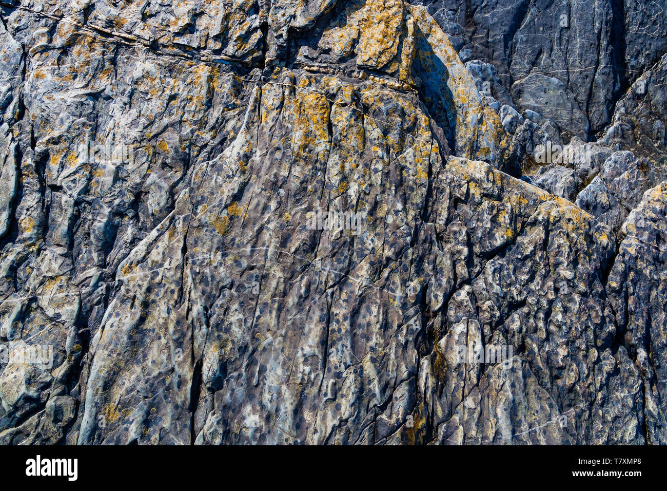 Close up of Welsh slate worn smooth by flowing water with patches of orange and yellow lichen. Stock Photo