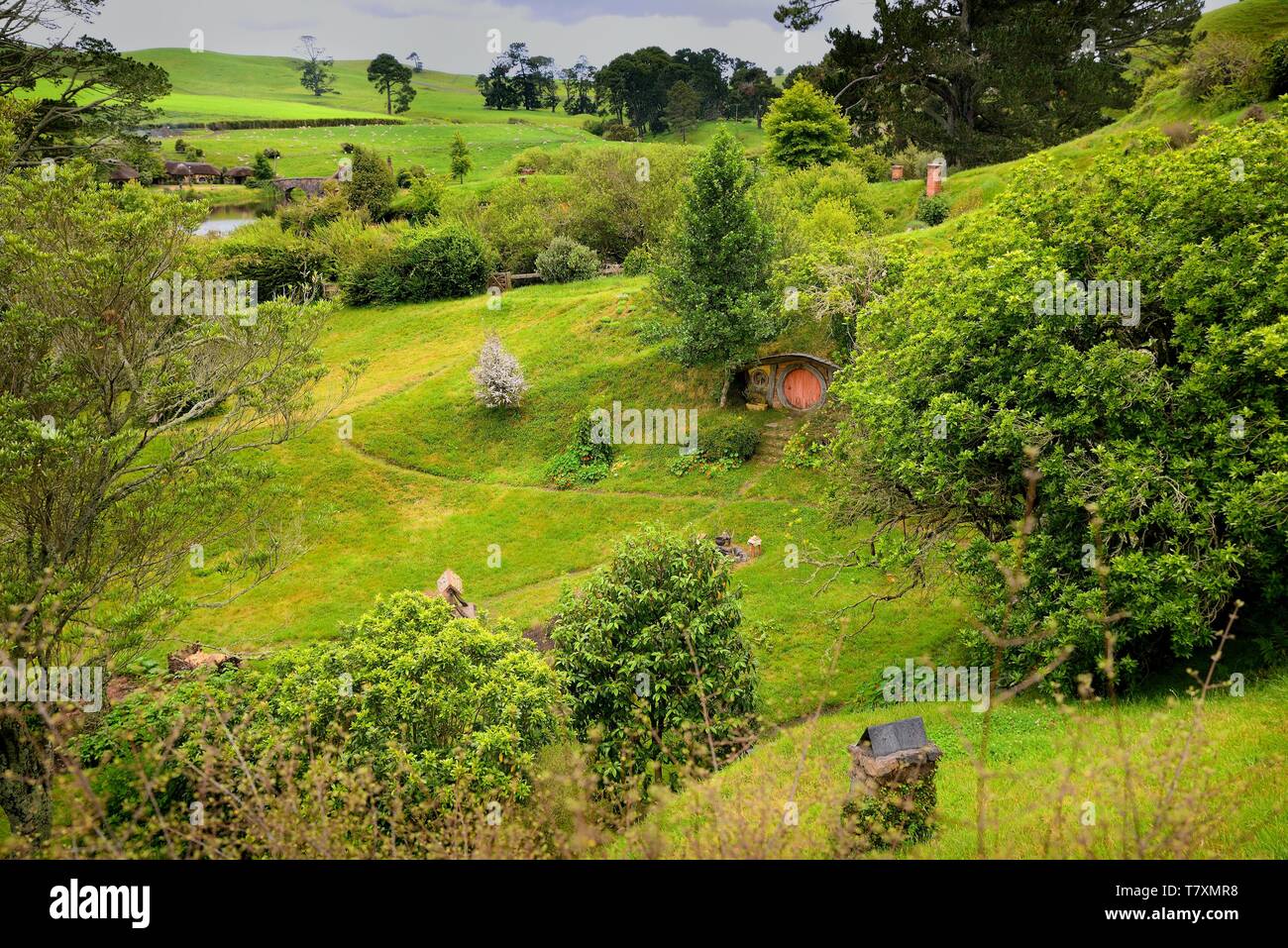 Landscape New Zealand, the place in Middle-earth Stock Photo