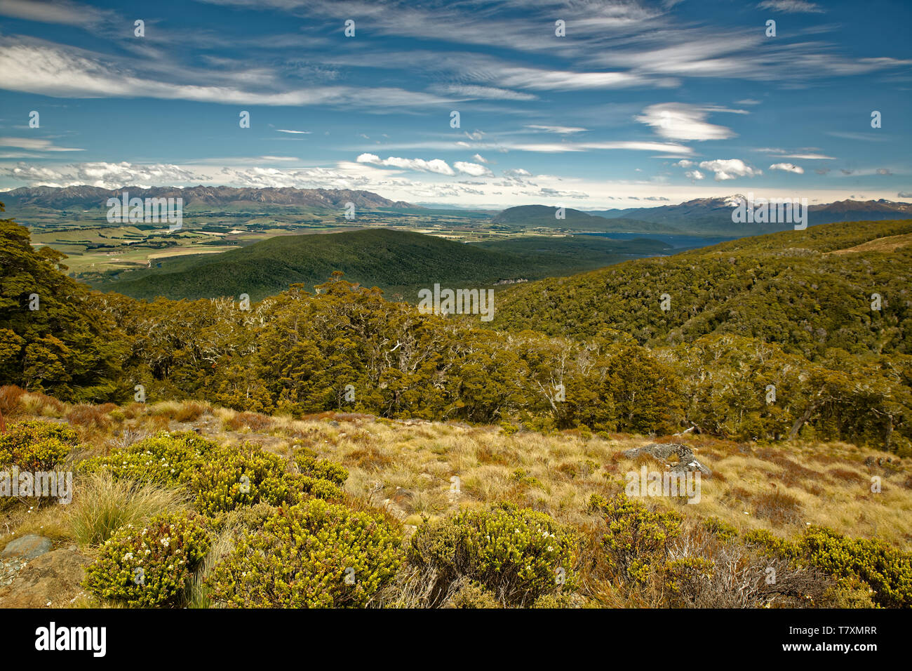 Landscape New Zealand - National Park Fiordland, South Island, beautiful mountain and fiord sceneries. Stock Photo