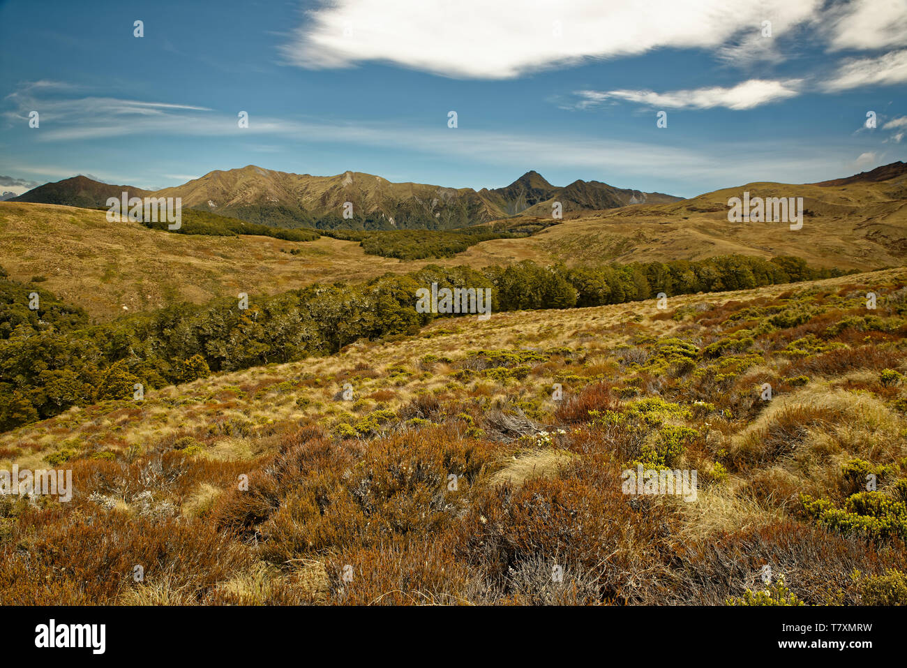 Landscape New Zealand - National Park Fiordland, South Island, beautiful mountain and fiord sceneries. Stock Photo