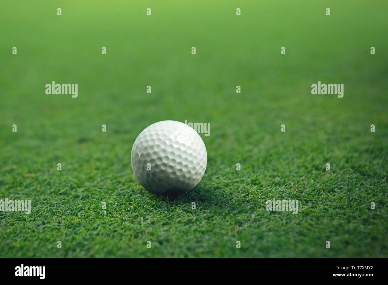 Golf ball on green grass ready for putting Stock Photo Alamy