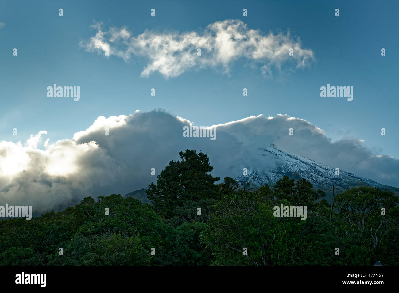 Mount Taranaki, volcano in the north island of New Zealand, mostly the peak is covered by clouds. Stock Photo