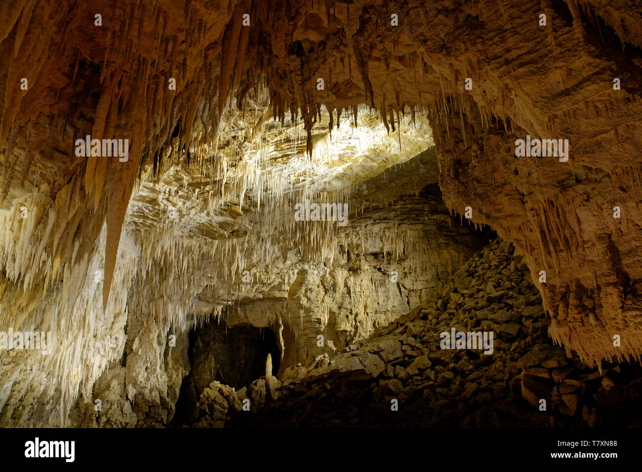 Waitomo caves, Nort Island of New Zealand, beautiful caves known for glow worms. Stock Photo