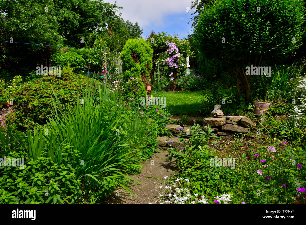 FLORA & FAUNA, Genaral private garden views of my own garden. Stock Photo