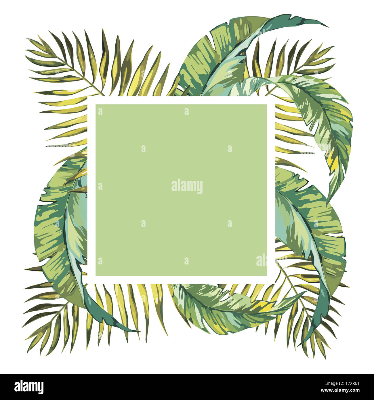 Banner Poster With Palm Leaves Jungle Leaf Beautiful Floral