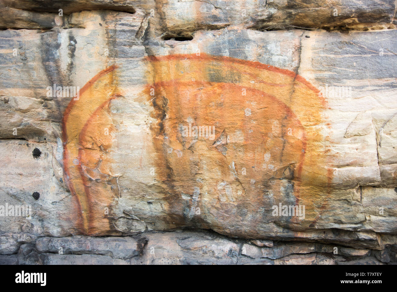 Ancient rock art on the natural stone shelters in Kakadu National Park in the Northern Territory of Australia Stock Photo