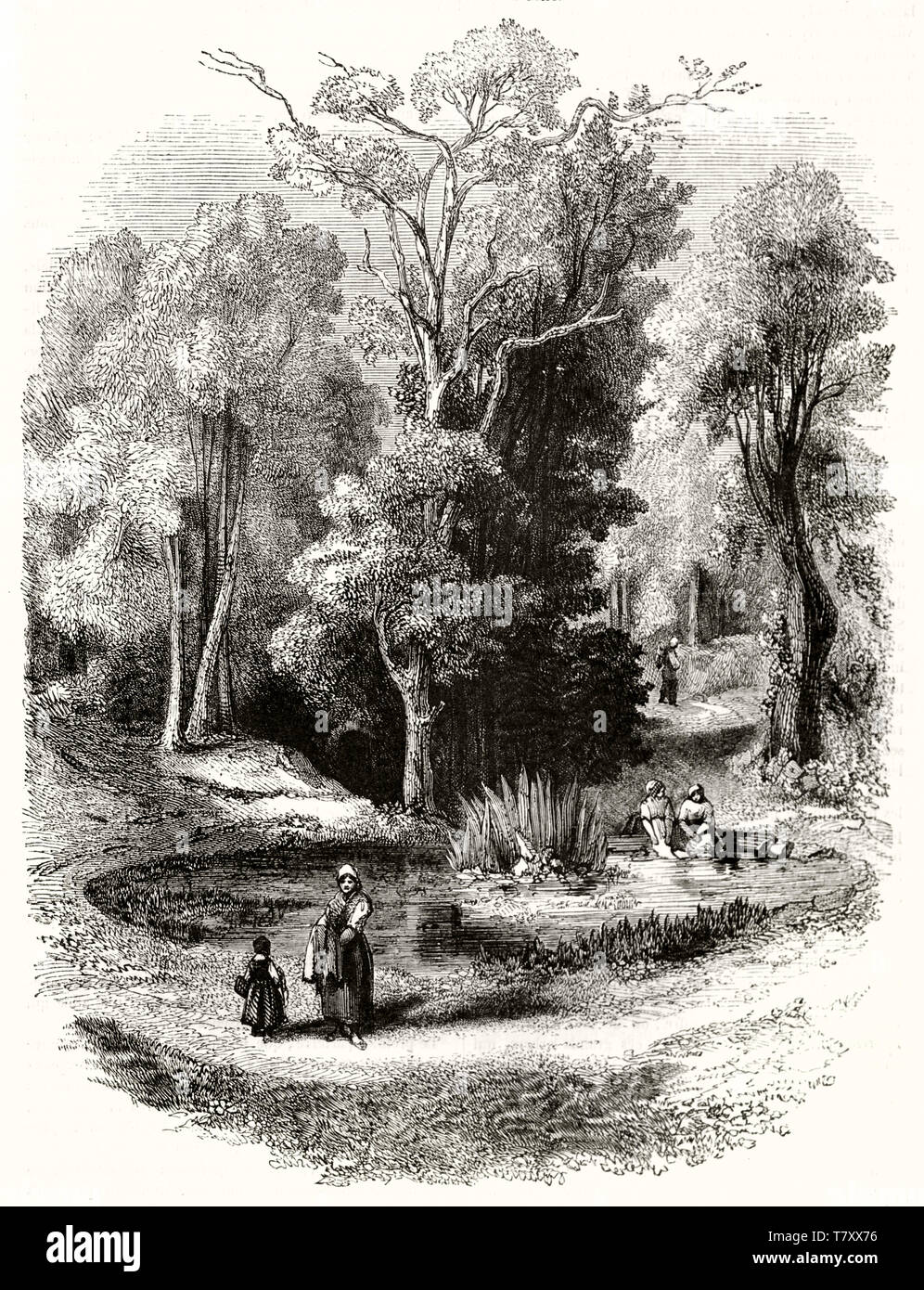 Part of the ancient park with a pond in Marly castle park. Displayed with a etching style full of hatching giving the light and dark feeling. By Armstrong publ. on Magasin Pittoresque Paris 1848 Stock Photo