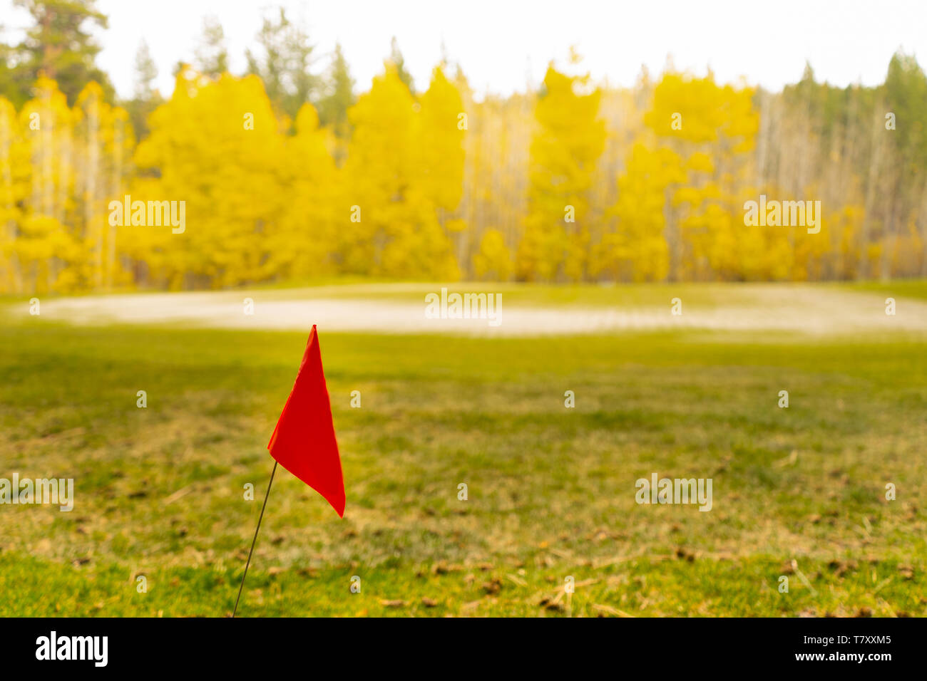 Red flag on rough next to green golf course in autumn mountain area Stock Photo