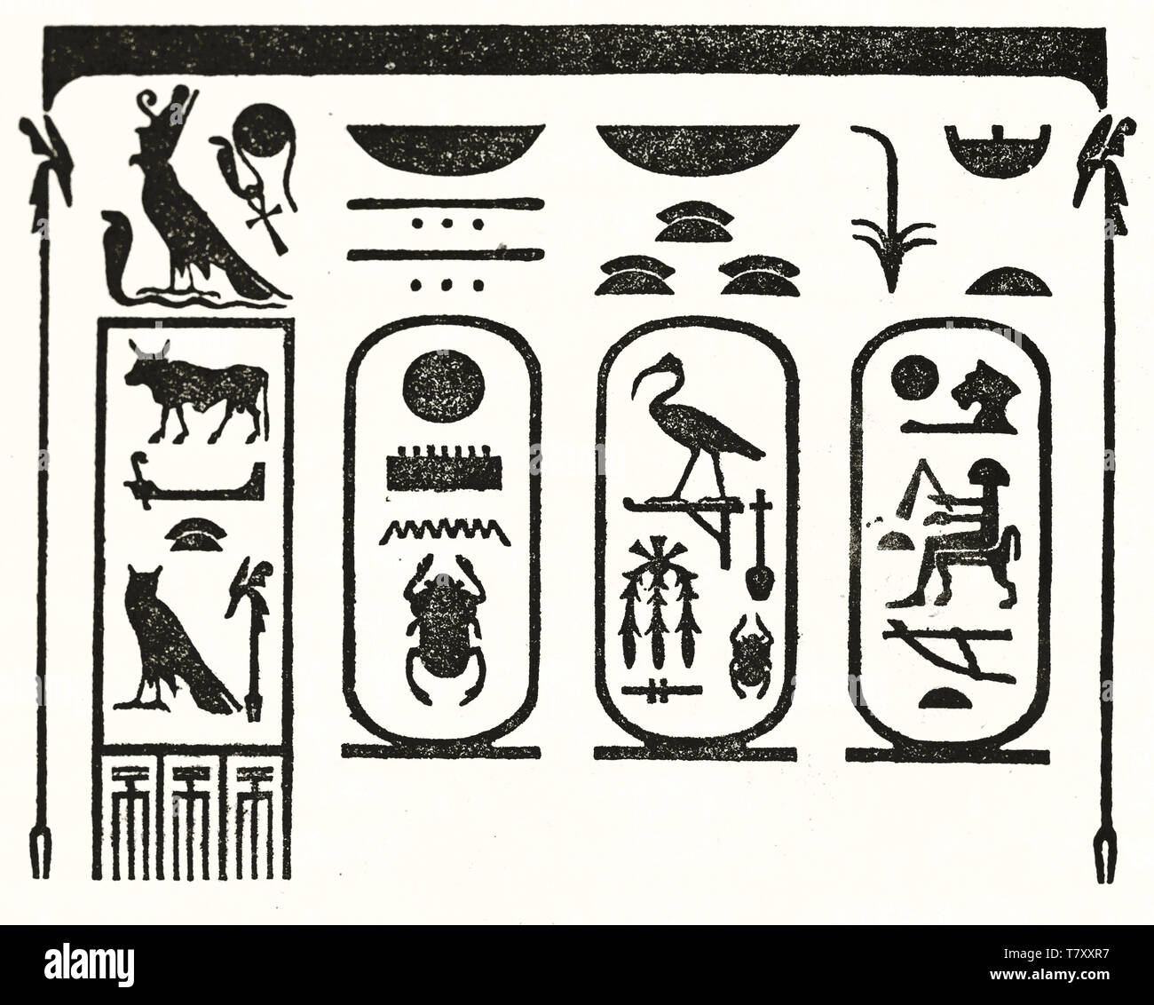 Simple black and white outline style illustration of egyptians hieroglyphs reporting Thutmose III name and surnames (Karnak). Pub. on Magasin Pittoresque Paris 1848 Stock Photo
