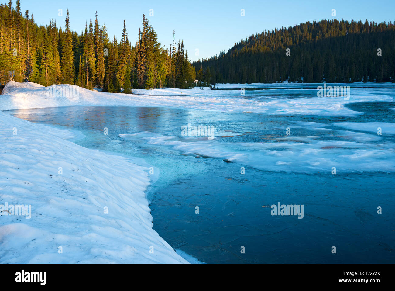 Frozen Reflection Lake at sunrise, Mount Rainier National Park, Washington State, USA Stock Photo
