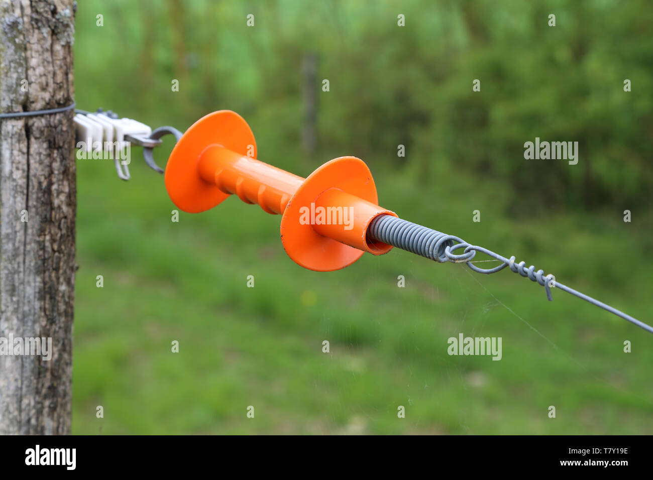 Image showcasing Electric fence gate protects a green grass pasture Stock Photo - Alamy