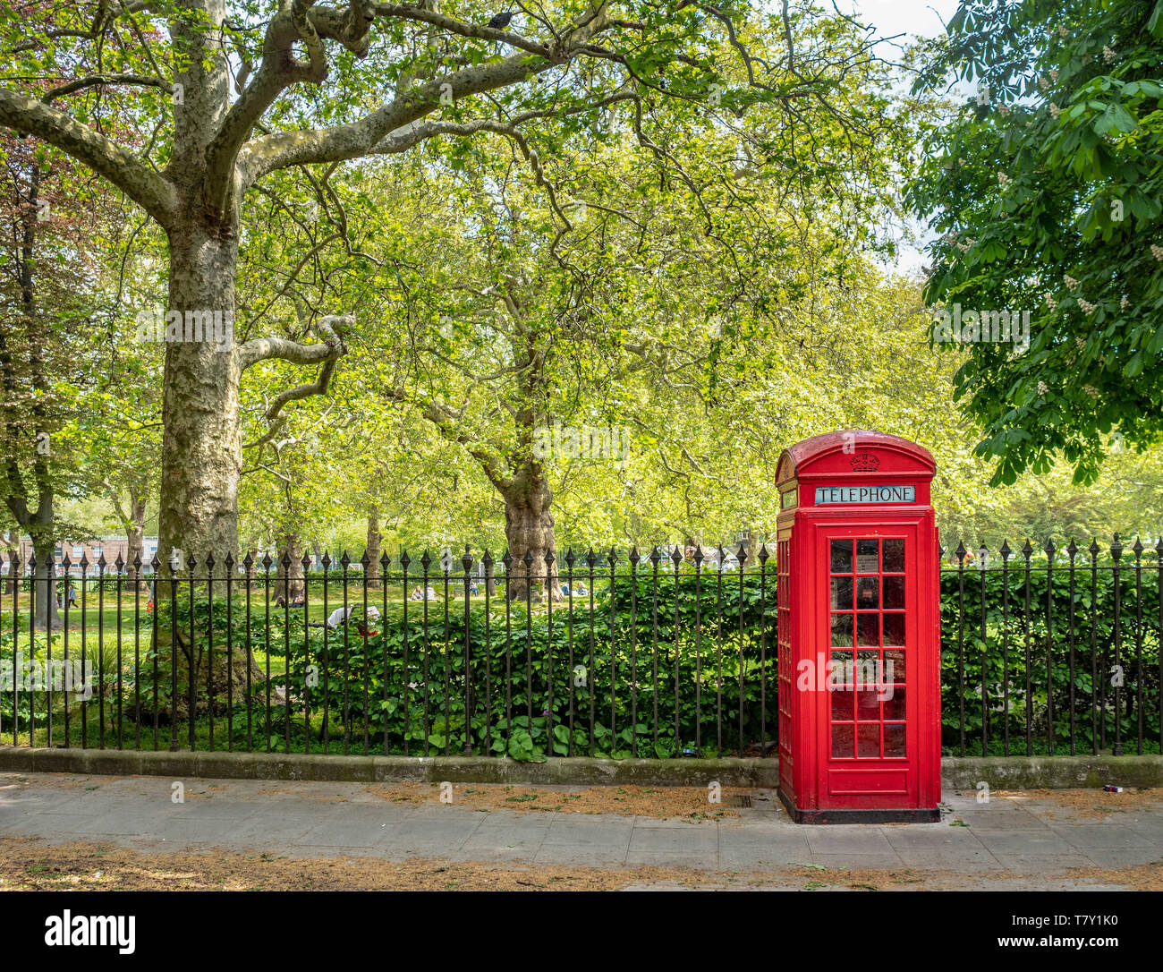 Traditional red telephone box at Brunswick Square Gardens, Camden