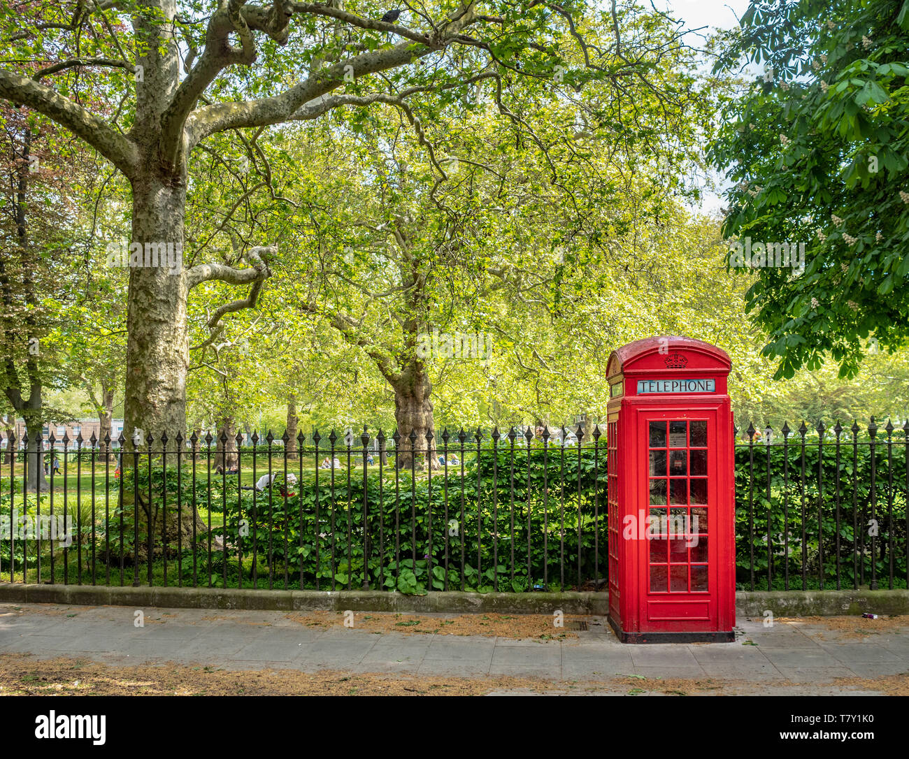 Traditional red telephone box at Brunswick Square Gardens, Camden, London. Stock Photo