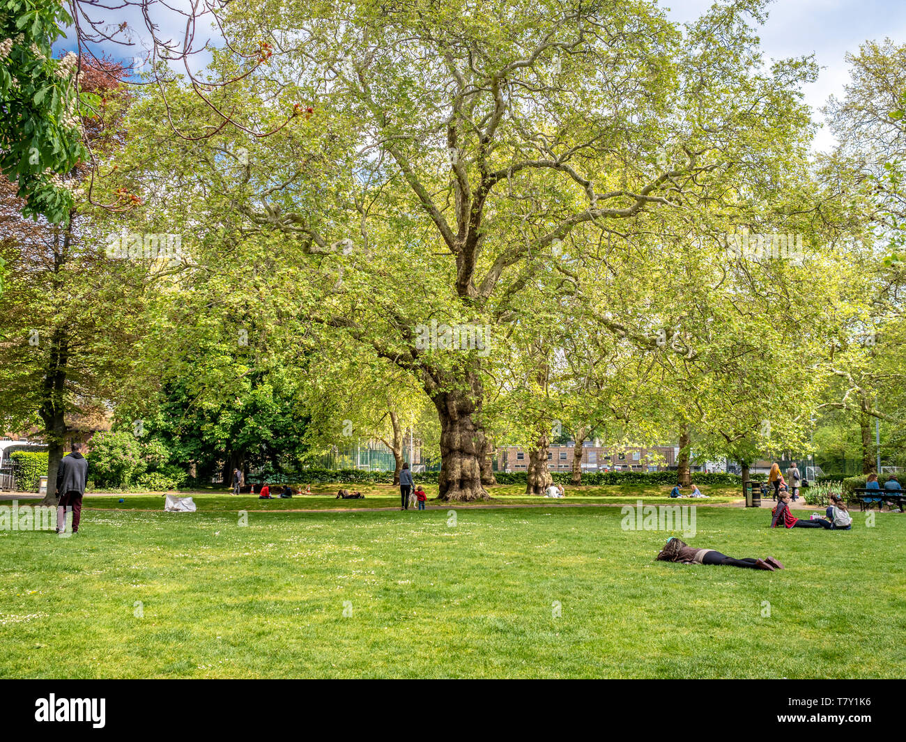 Brunswick Square Gardens, Camden, London. Stock Photo